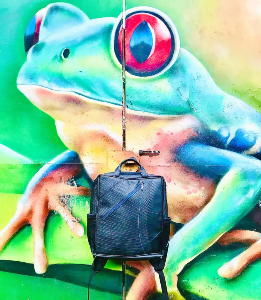 Lost in Samsara backpack