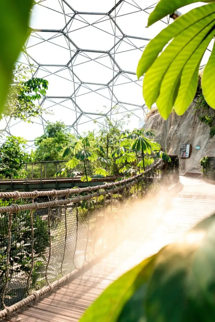 eden project