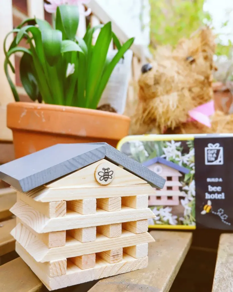 bee house: Green Picks February 2020