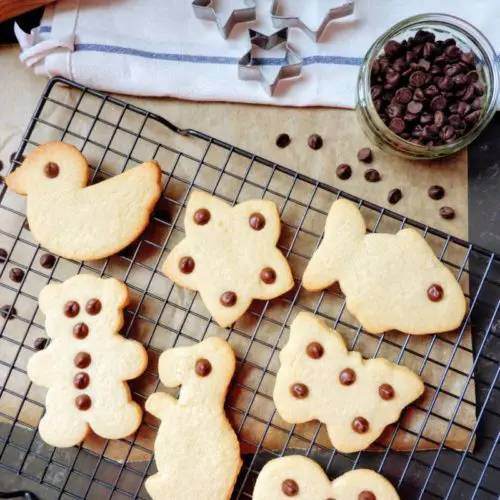 3 ingredient vegan biscuits