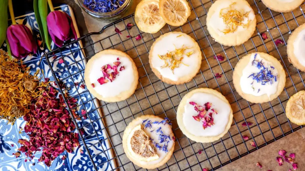 vegan lemon vanilla biscuits vegan lemon vanilla biscuits
