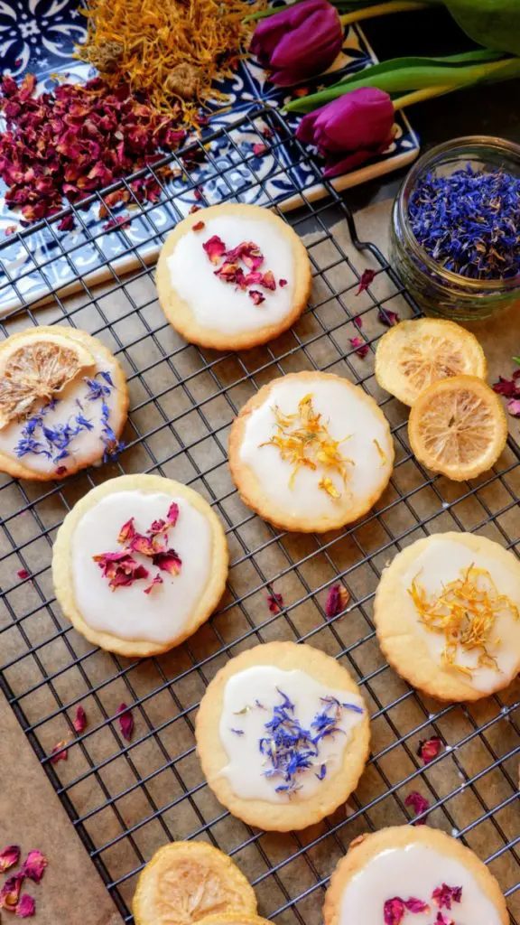 vegan lemon vanilla biscuits vegan lemon vanilla biscuits