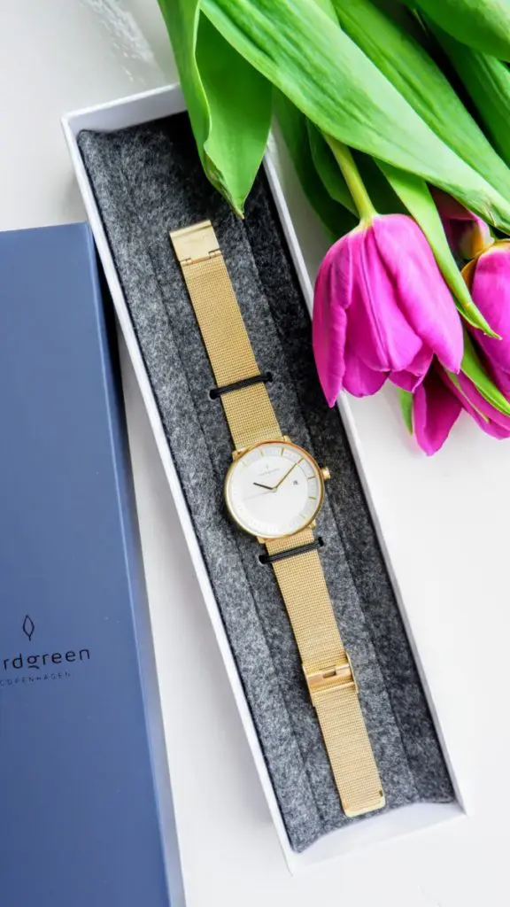 nordgreen infinity watch