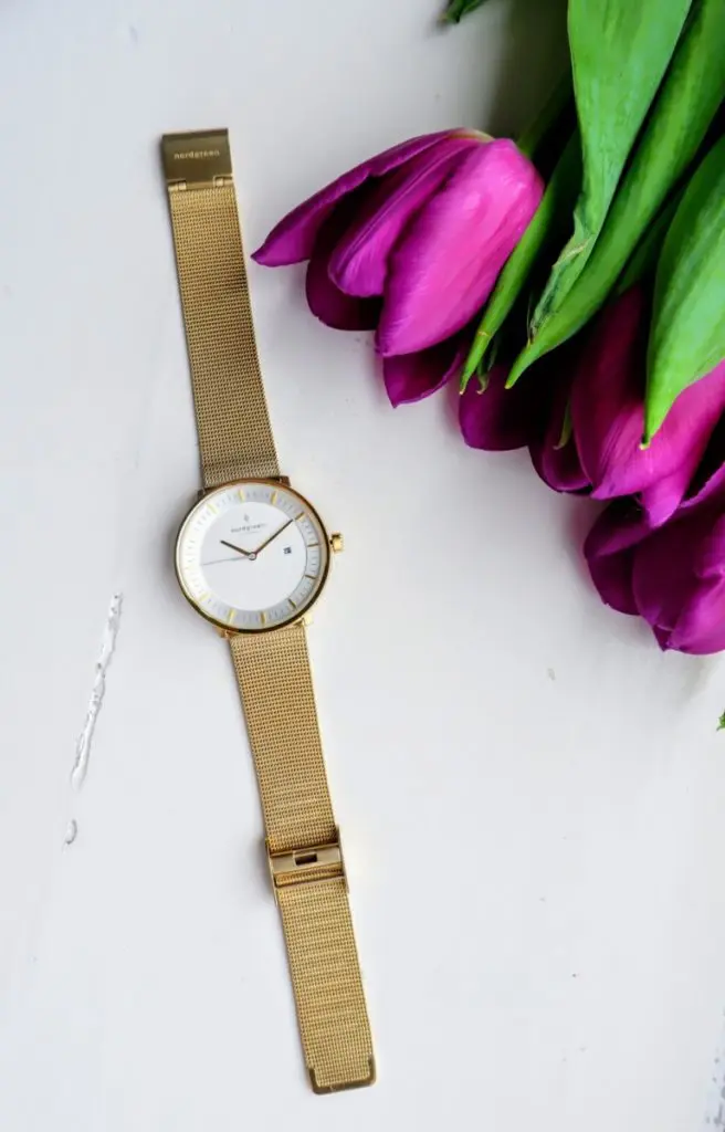 nordgreen infinity watch