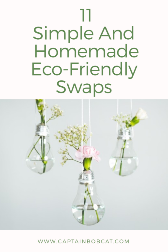 11 Simple And Homemade Eco-Friendly Swaps
