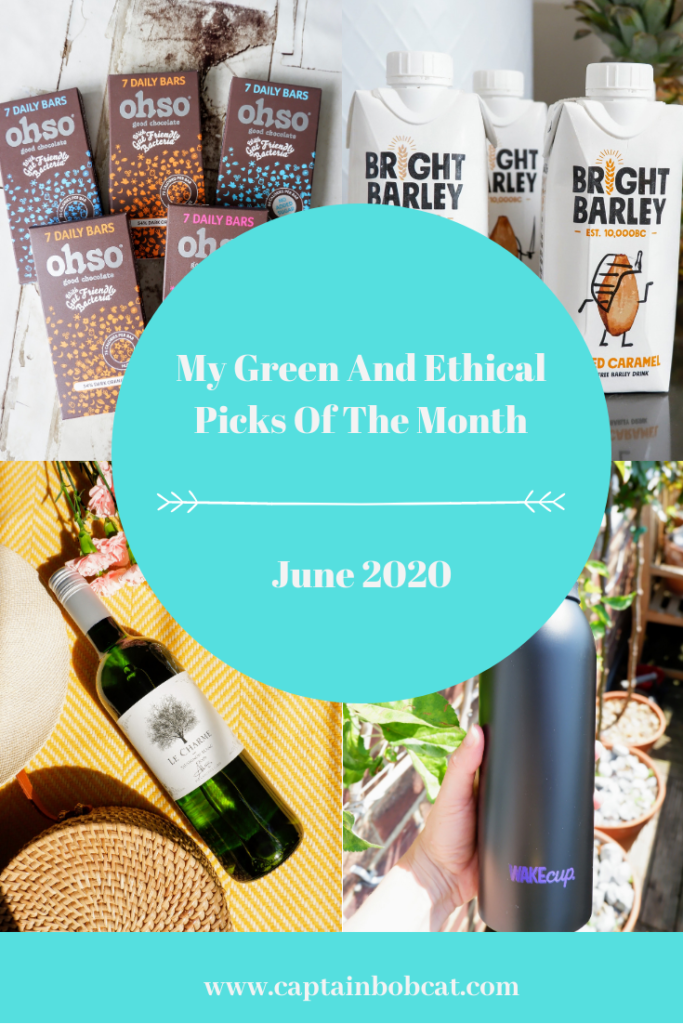 My Ethical And Green Picks Of The Month: June 2020