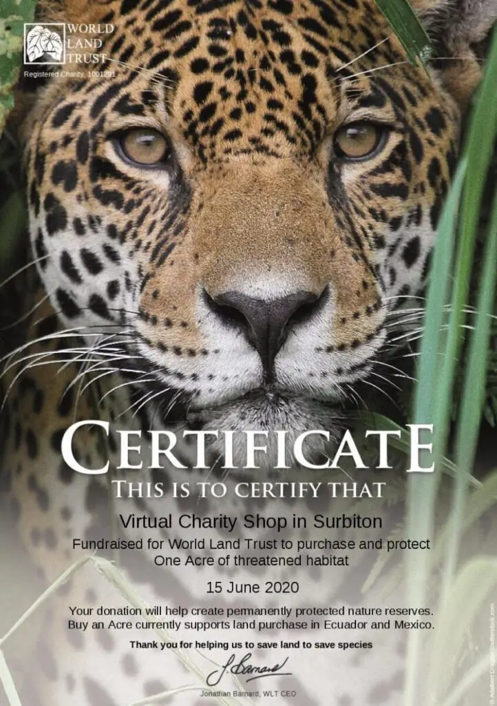 WLT certificate