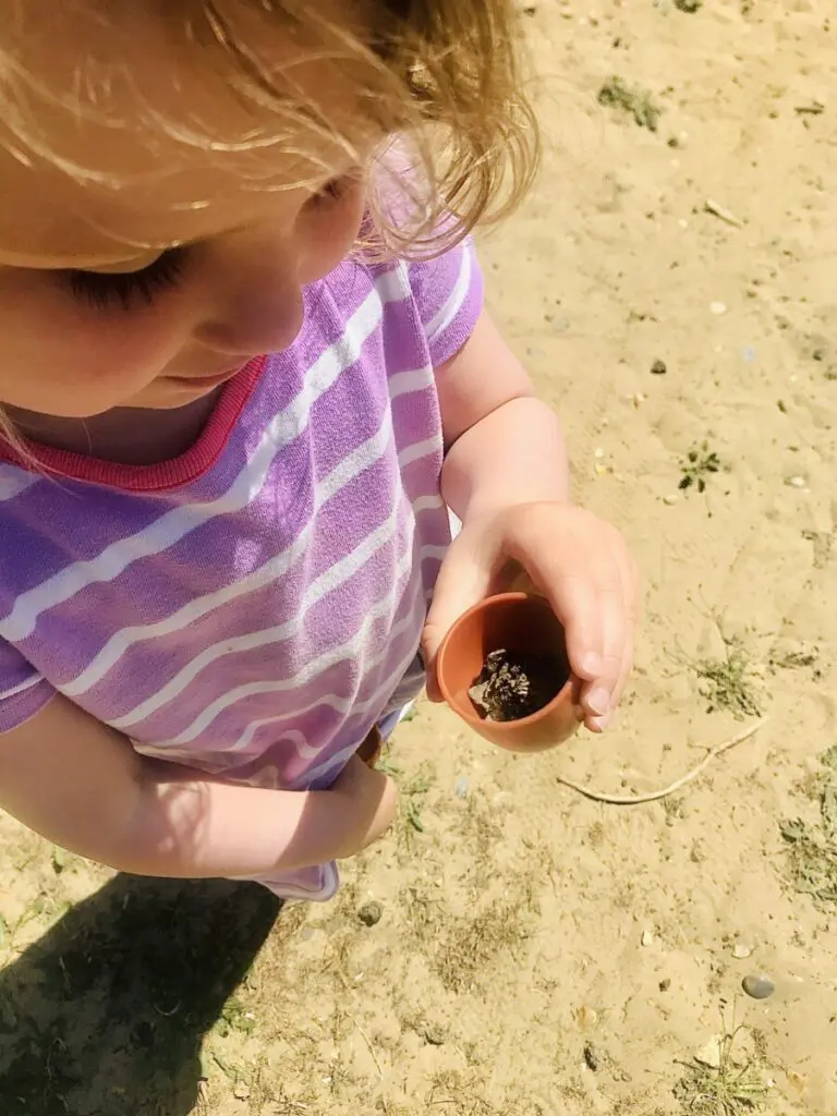 learning resources toys