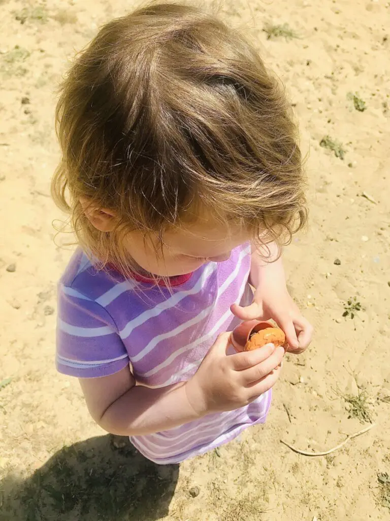 learning resources toys