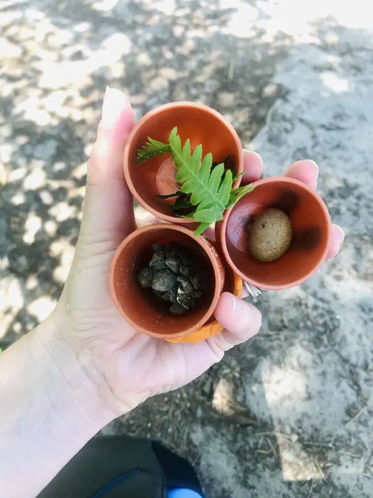 learning resources toys