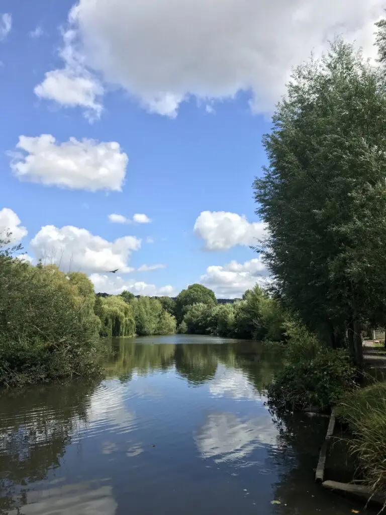 lake nature