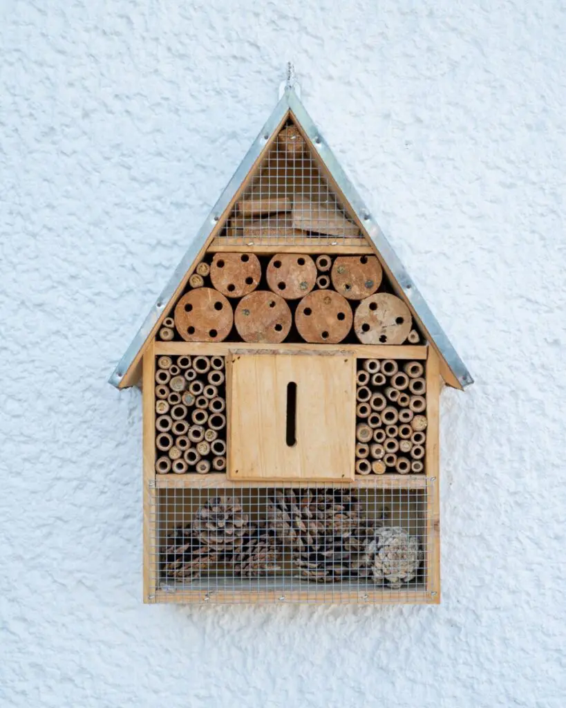 insect bee hotel