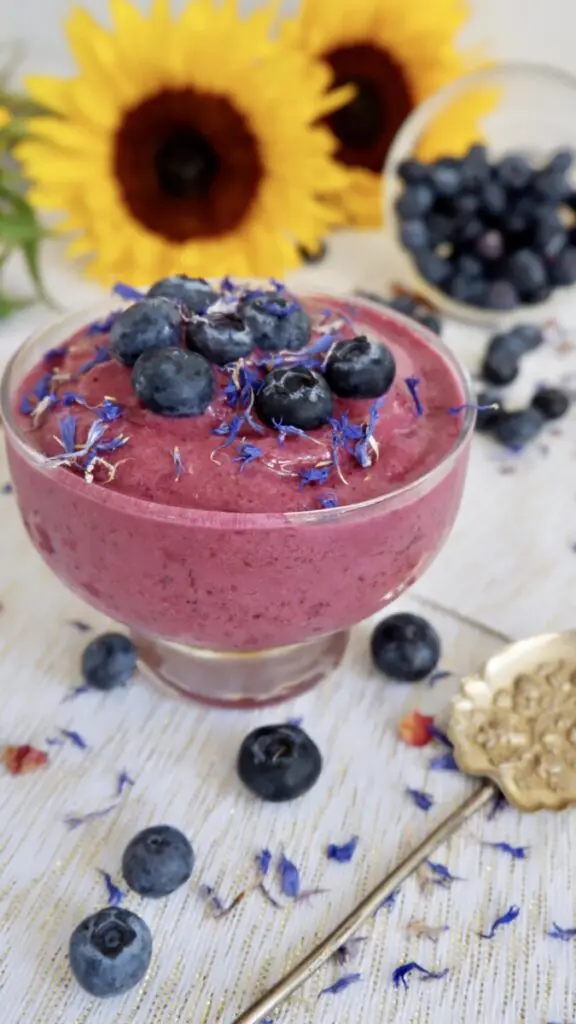 blueberry shush with coconut milk