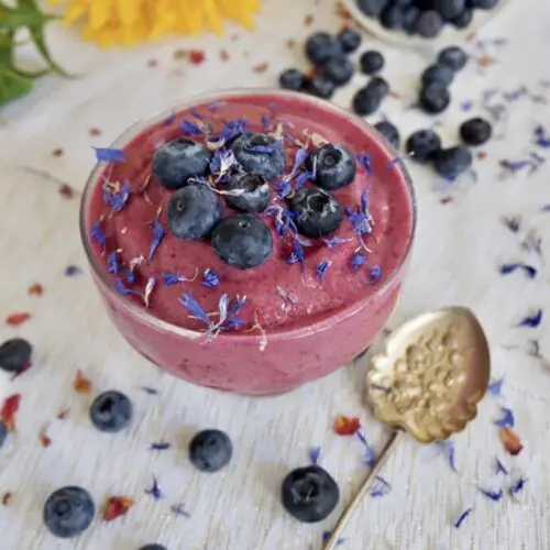 Blueberry slush with Coconut milk