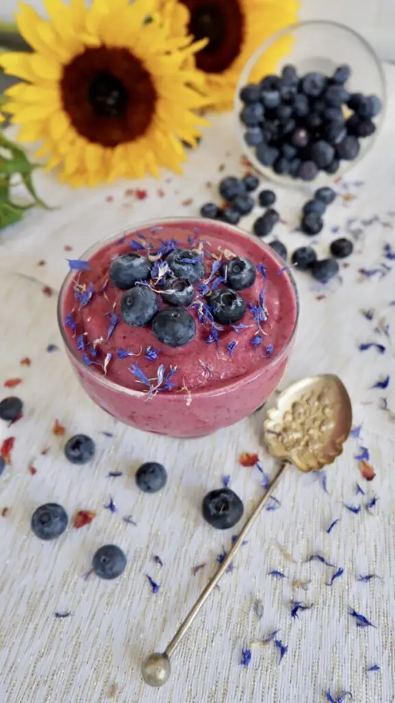 Blueberry slush with Coconut milk