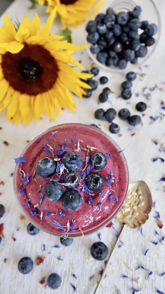blueberry shush with coconut milk