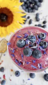 Blueberry slush with Coconut milk