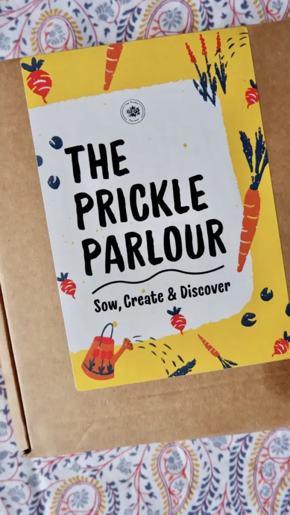 The Prickle Parlour: Ethical and Green Picks 