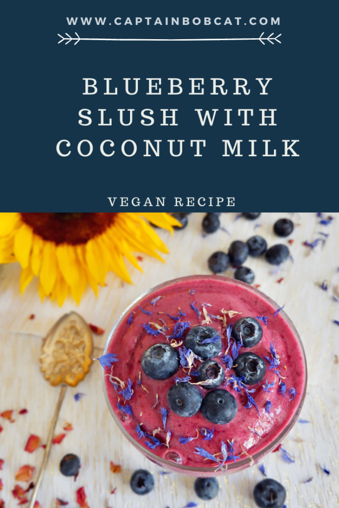 blueberry shush with coconut milk
