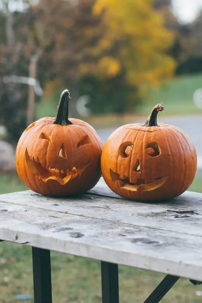 halloween pumpkin