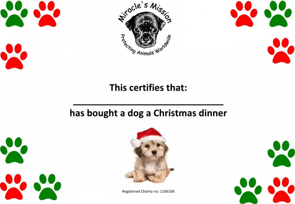 Christmas dinner for a dog or cat Christmas dinner for a dog or cat