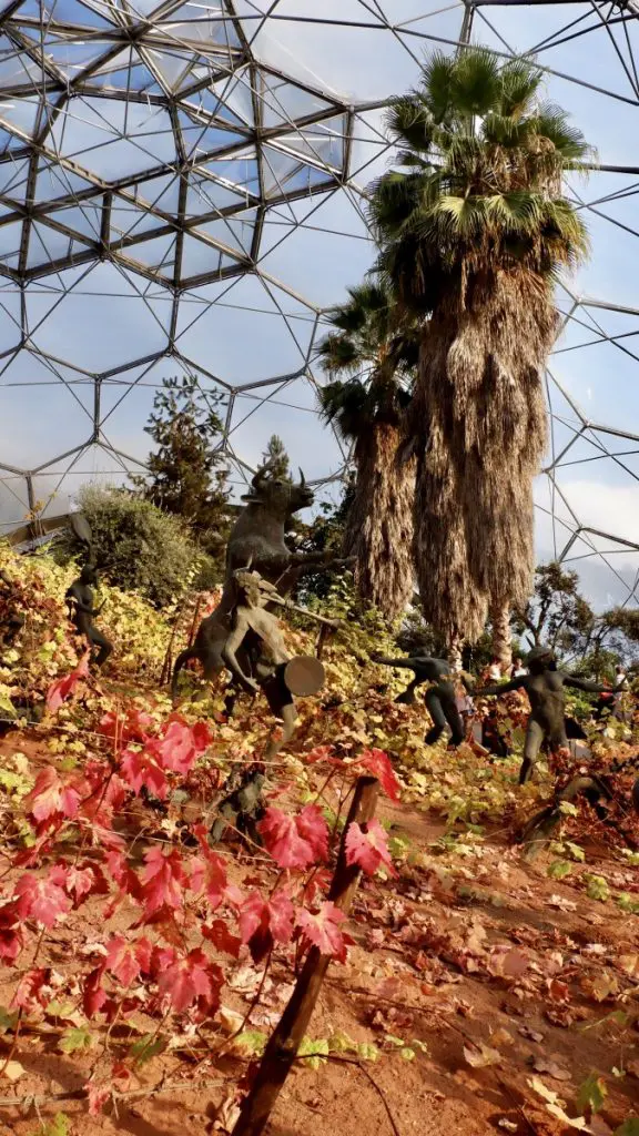 The Mediterranean Biome