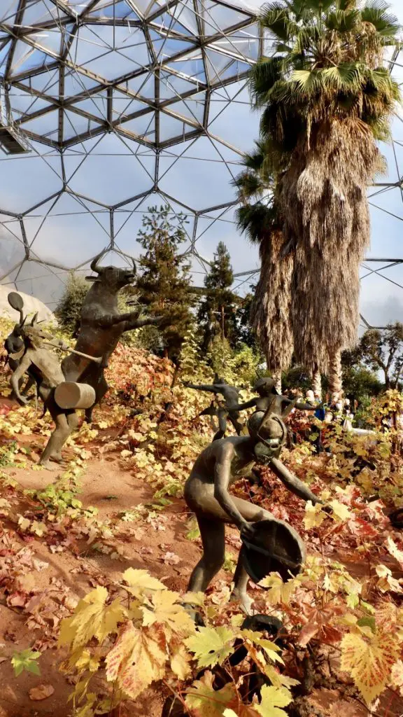 The Mediterranean Biome