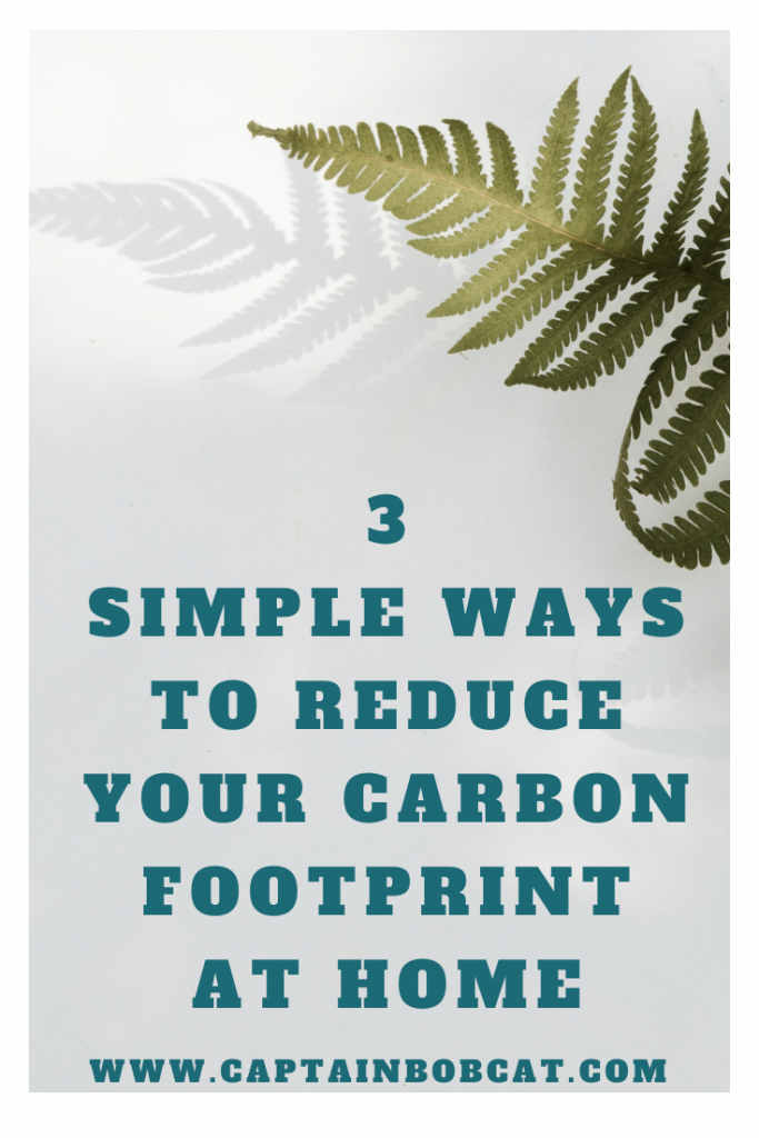 3 Simple Ways to Reduce Your Carbon Footprint at Home