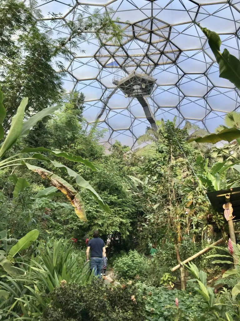 The Tropical Biome