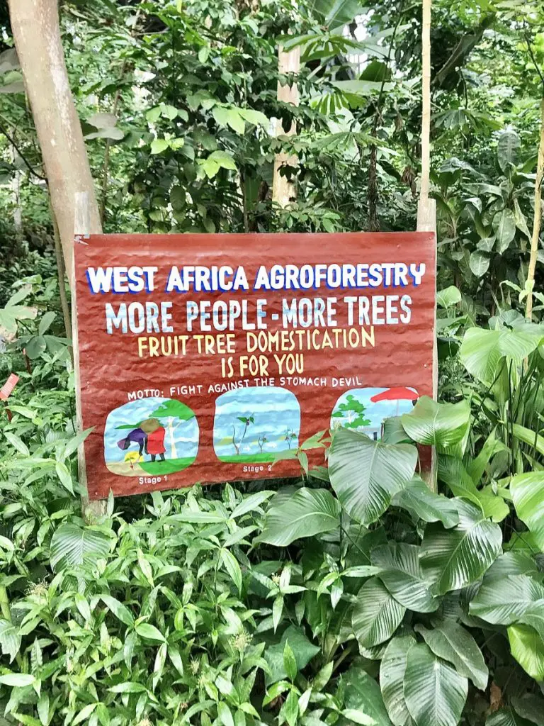 The Tropical Biome