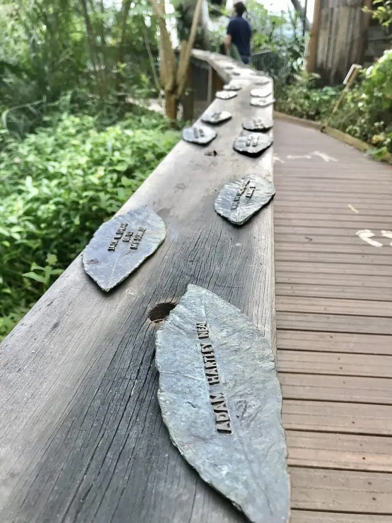 Bronze Leaf Plaques