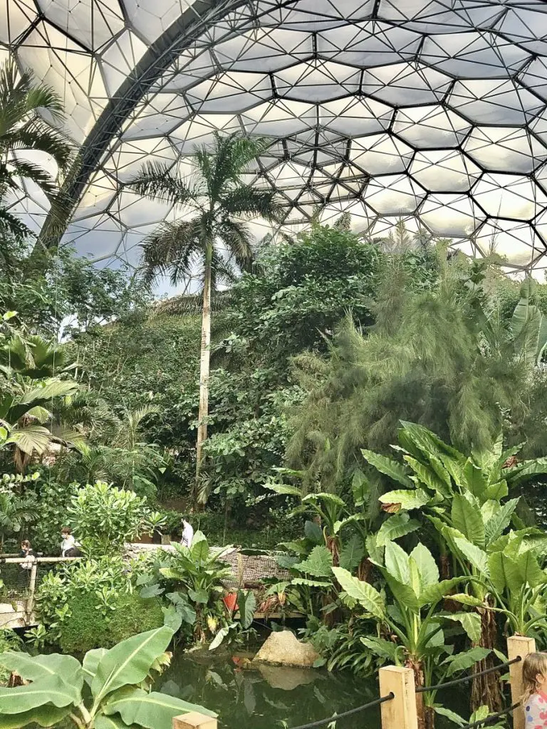 The Tropical Biome