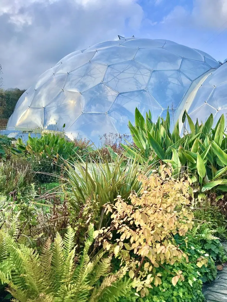 The Eden Project