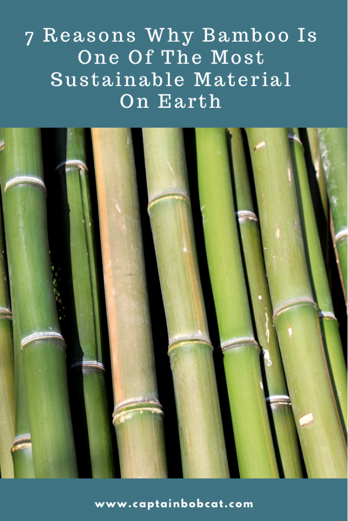 7 Reasons Why Bamboo Is One Of The Most Sustainable Material On Earth