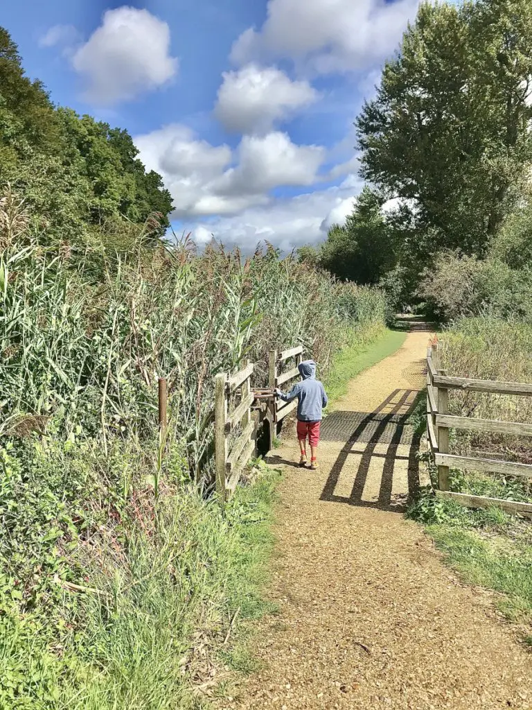 nature walk outside