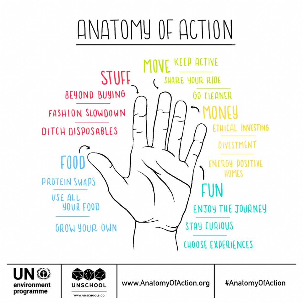 Anatomy of Action
