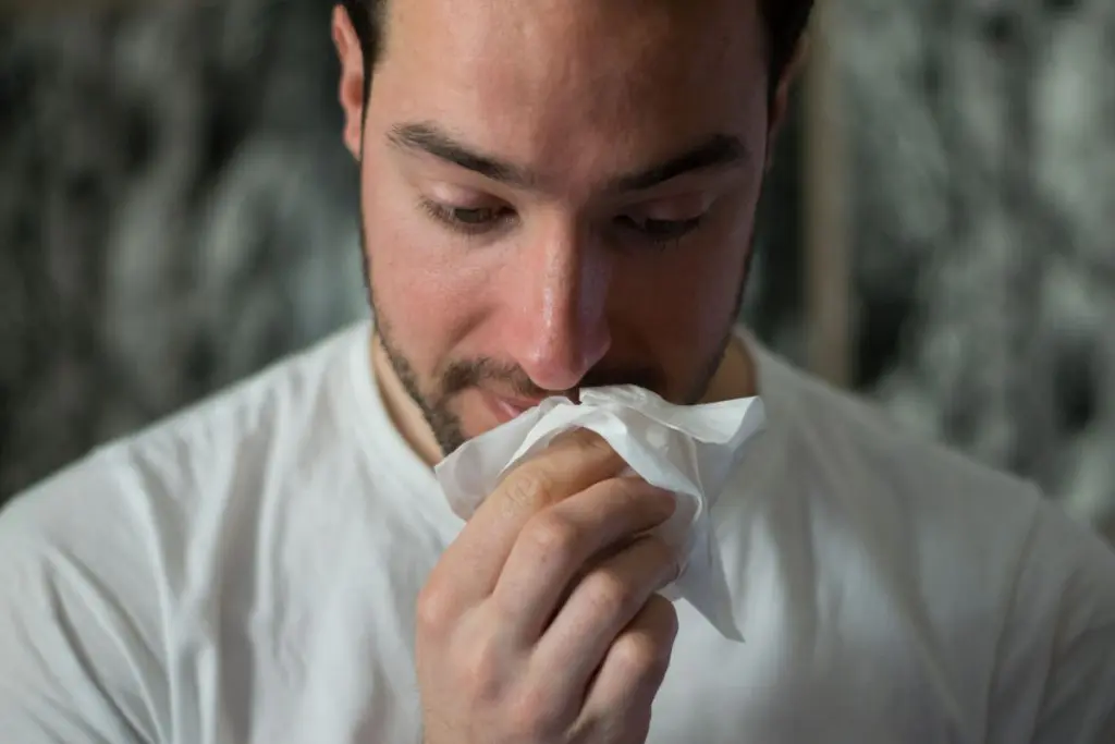 sneeze cold allergy man ill