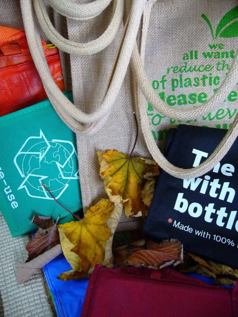 reusable bag
