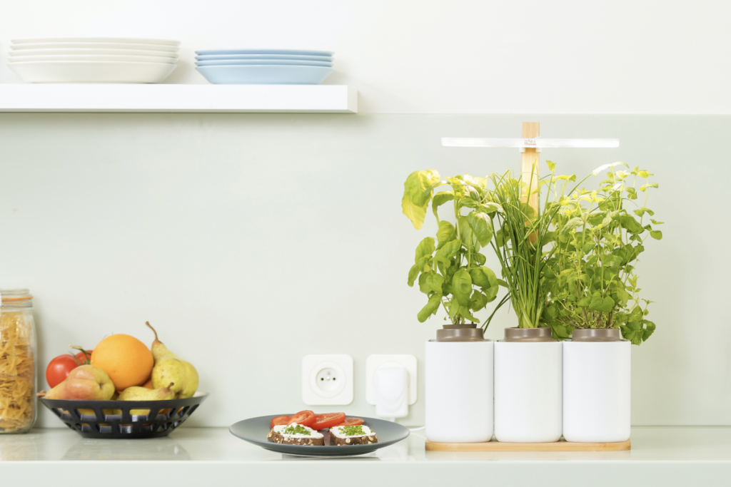 indoor herb garden indoor herb garden