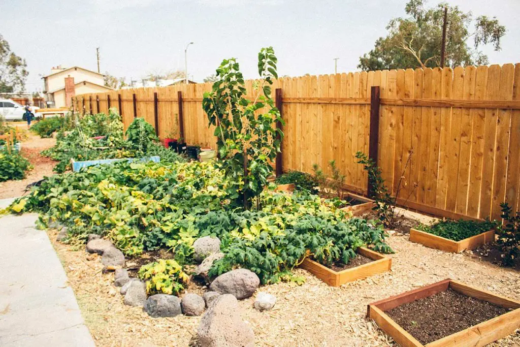 fence garden allotment