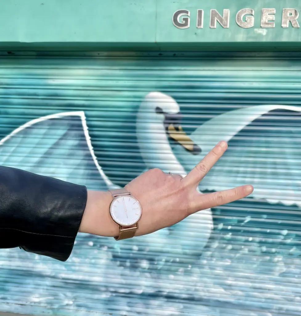 Solios sustainable watches