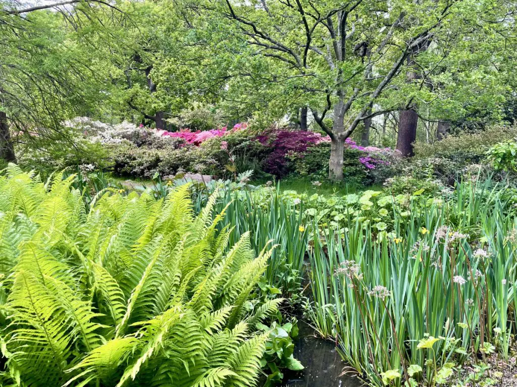garden