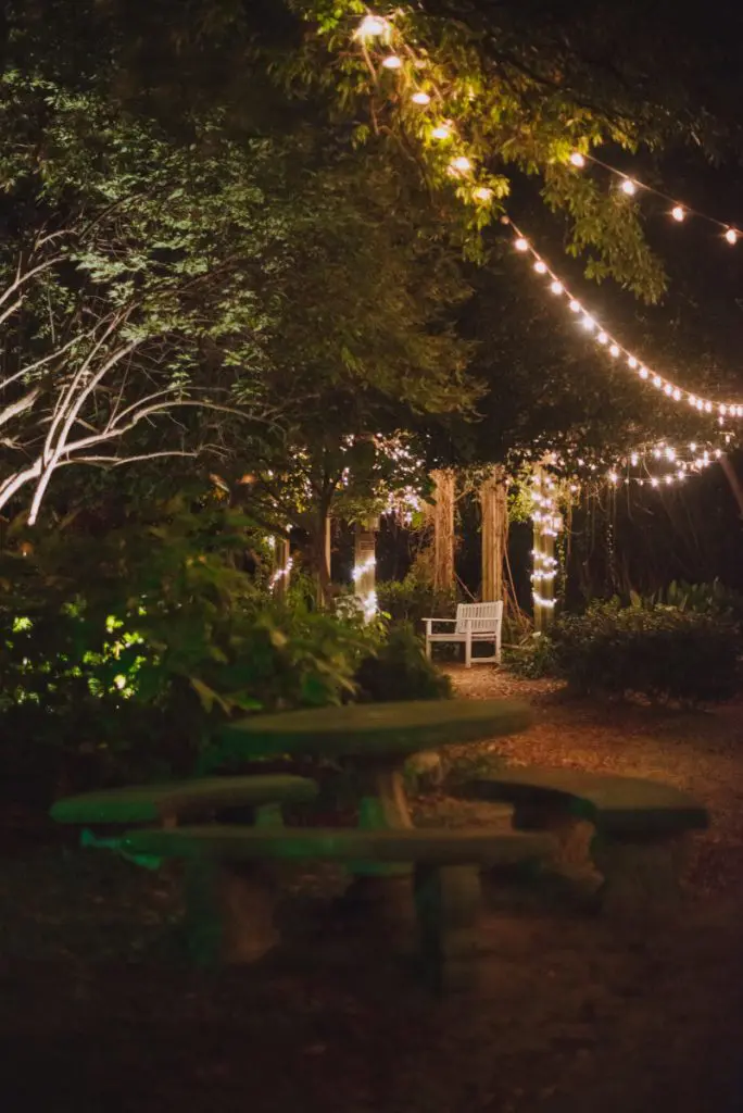 fairy lights garden night
