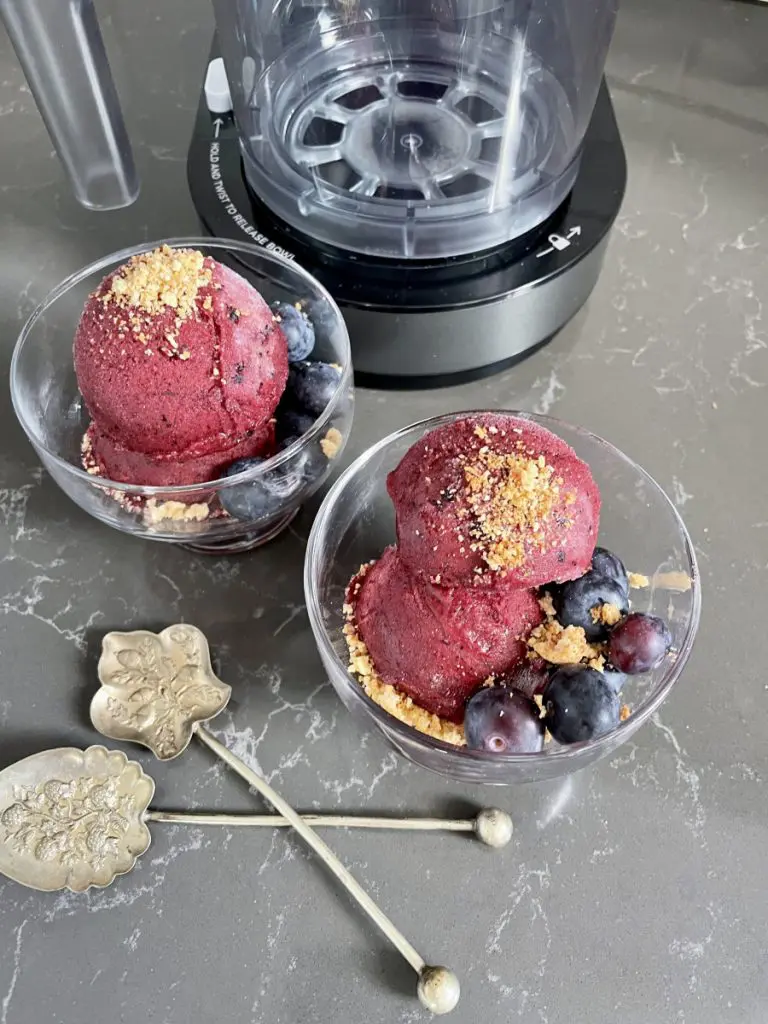 blueberry sorbet ice cream blueberry sorbet ice cream