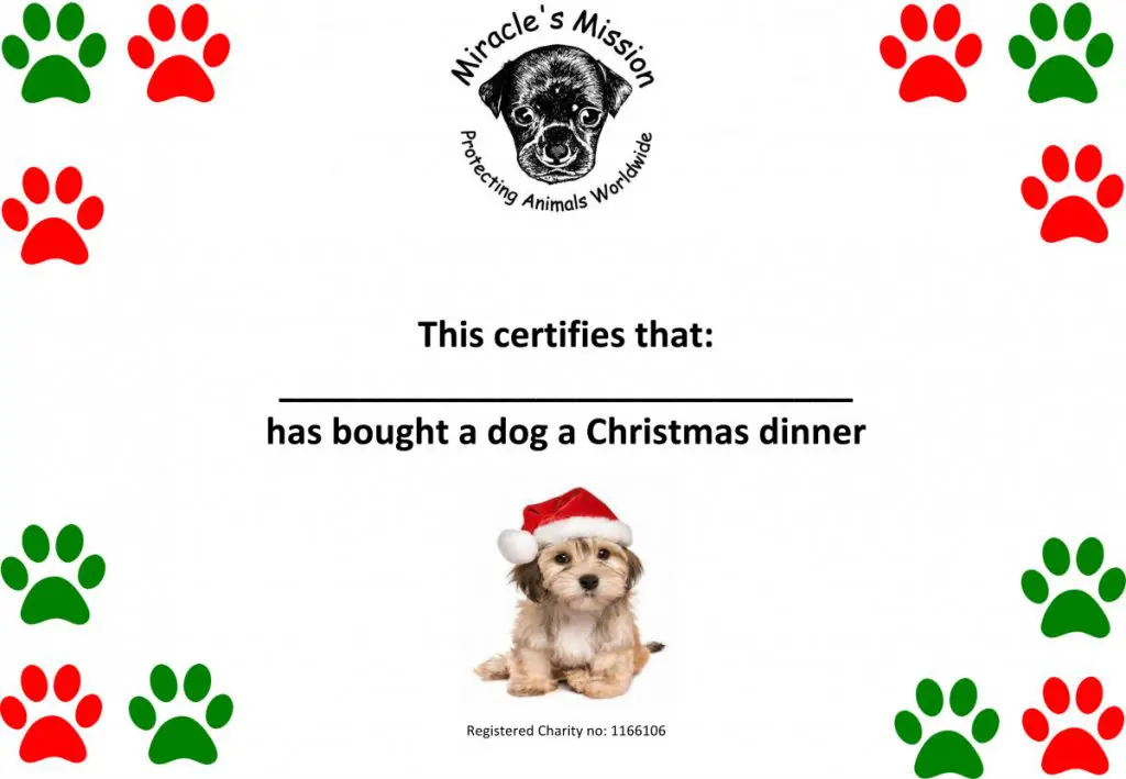 buy a dog's Christmas dinner