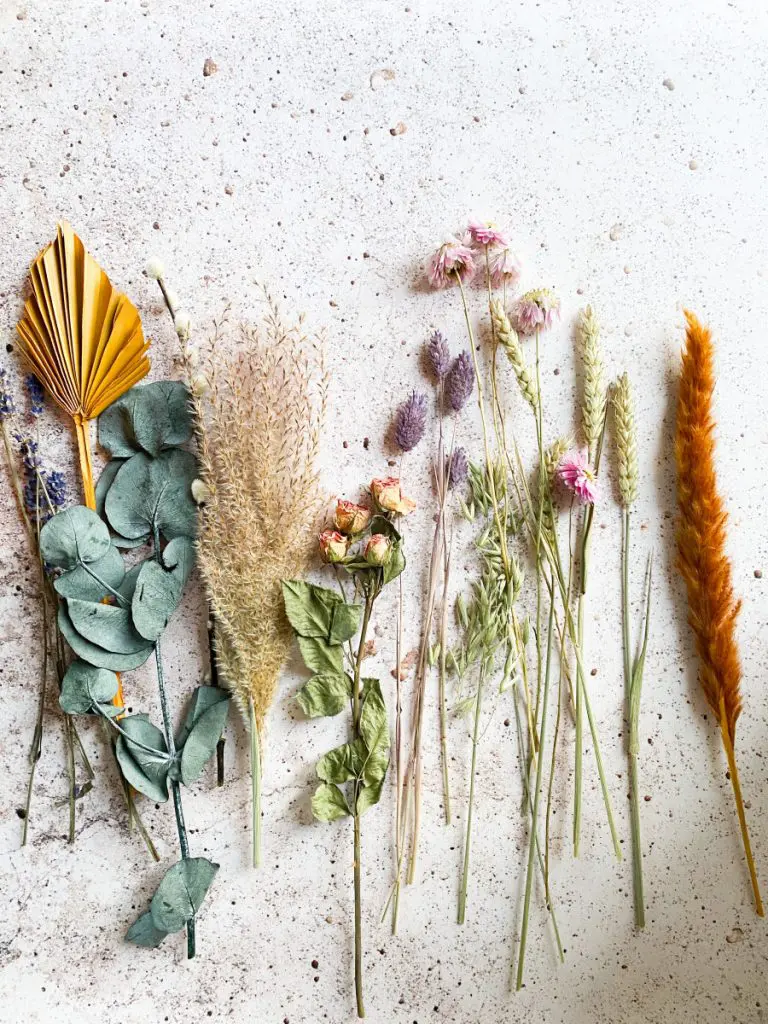 dried flowers dried flowers