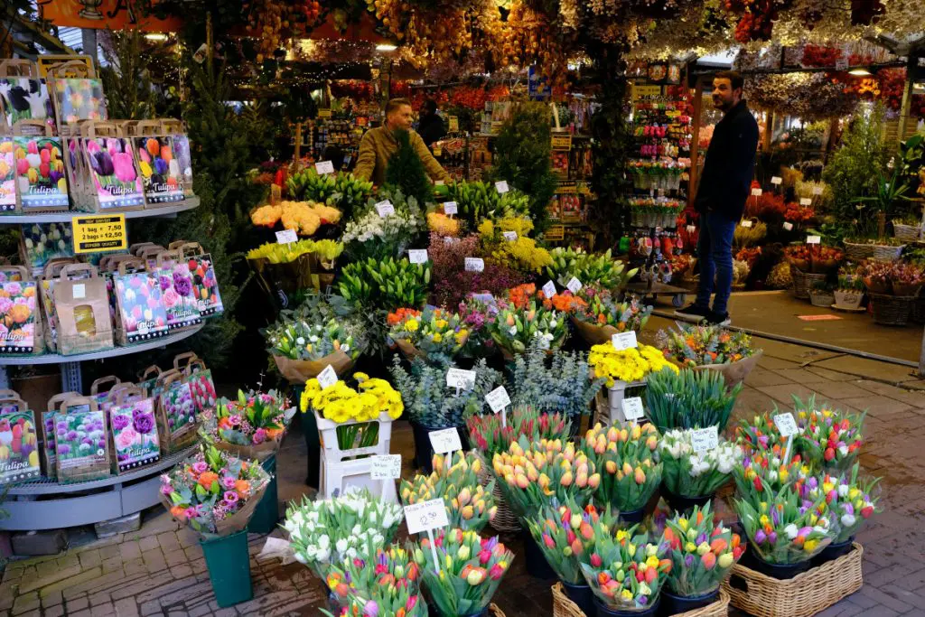 bloemenmarkt amsterdam bloemenmarkt amsterdam
