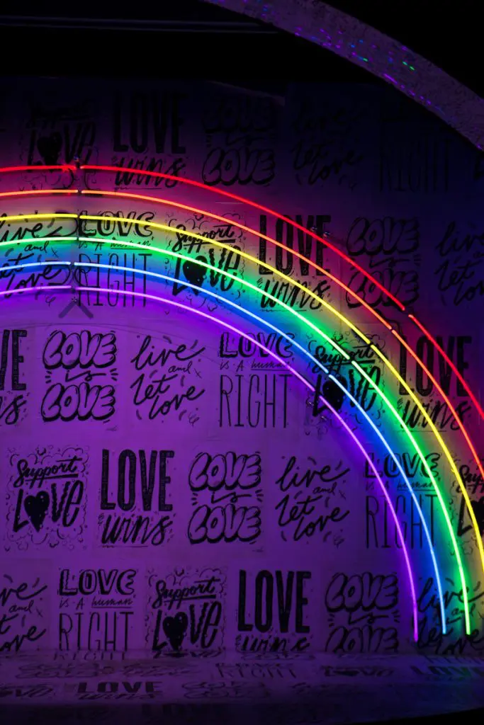 rainbow light neon pride