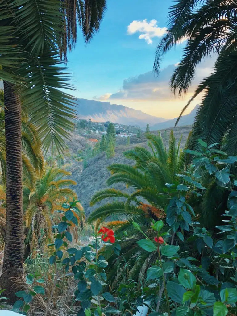 canary islands