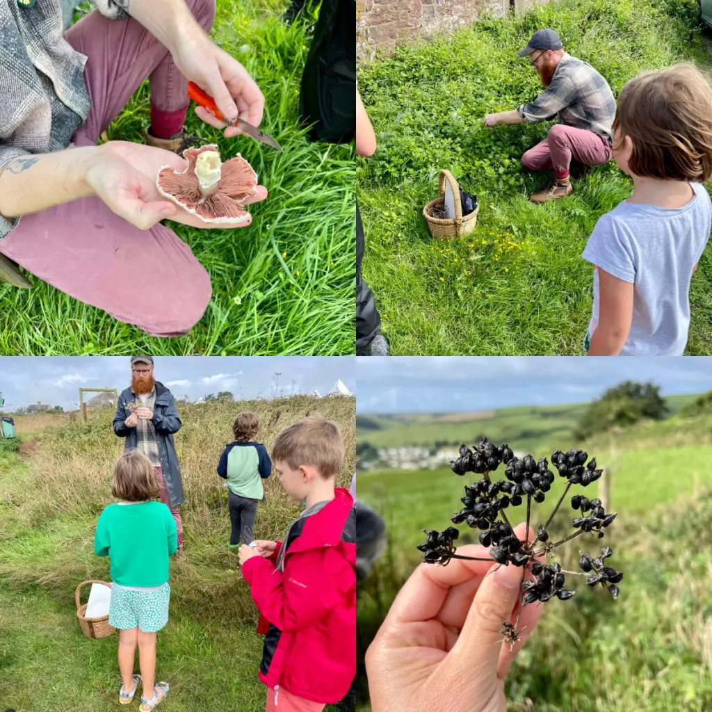 WilderMe foraging